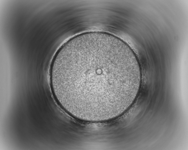 X0000096440950200801241356
