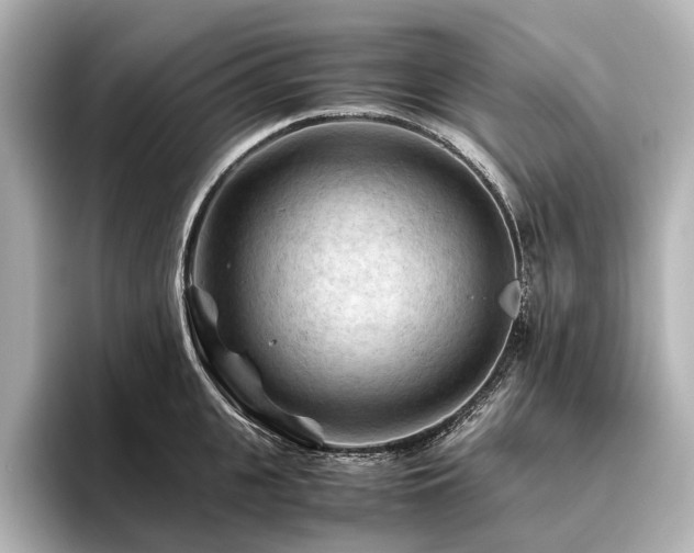 X0000096440951200801241356