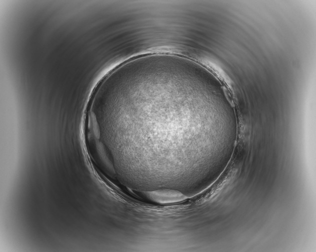 X0000096440952200801241356