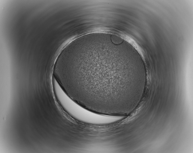 X0000096440954200801241356
