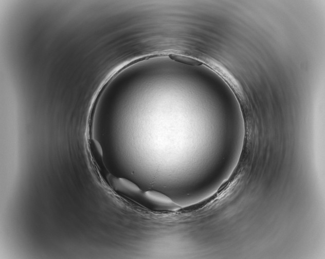 X0000096440956200801241356