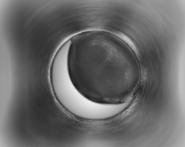 X0000096440958200801241356