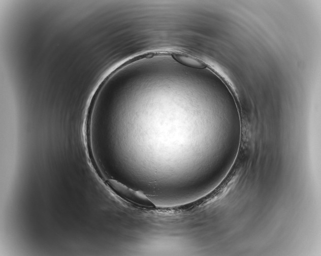 X0000096440959200801241356