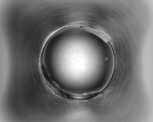 X0000096440960200801241356
