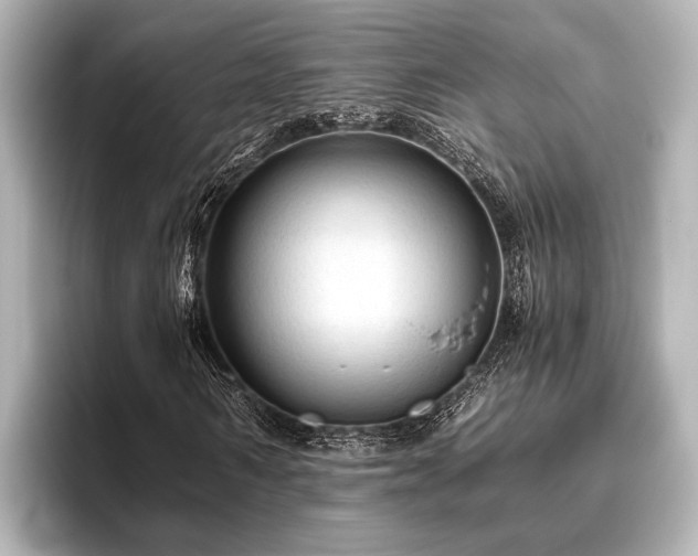 X0000096440962200801241355