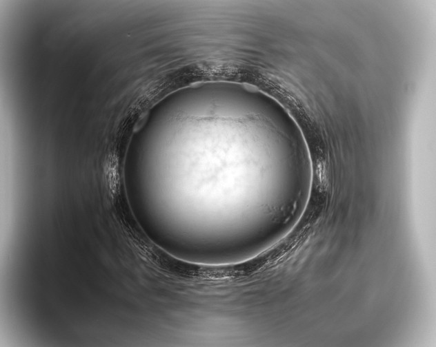 X0000096440963200801241355