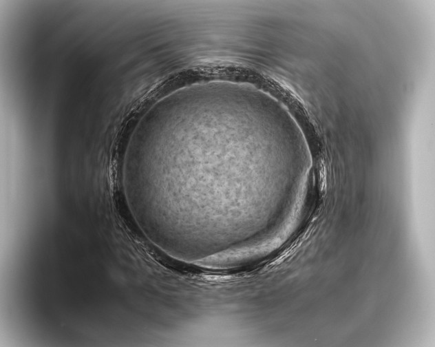X0000096440965200801241355