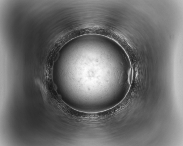X0000096440966200801241355