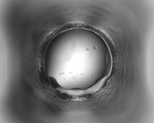 X0000096440967200801241355