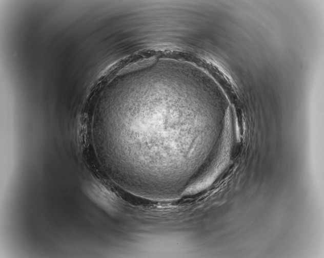 X0000096440968200801241355