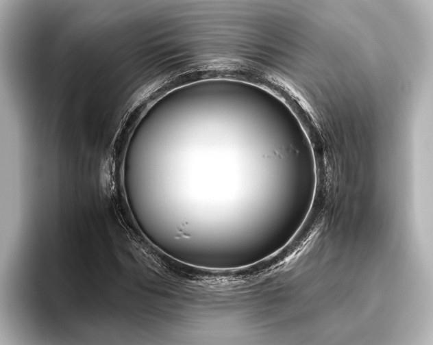 X0000096440970200801241355