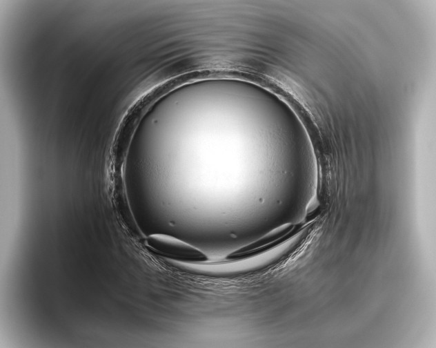 X0000096440971200801241355