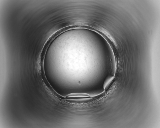 X0000096440972200801241355