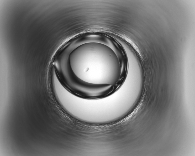 X0000096440973200801241355