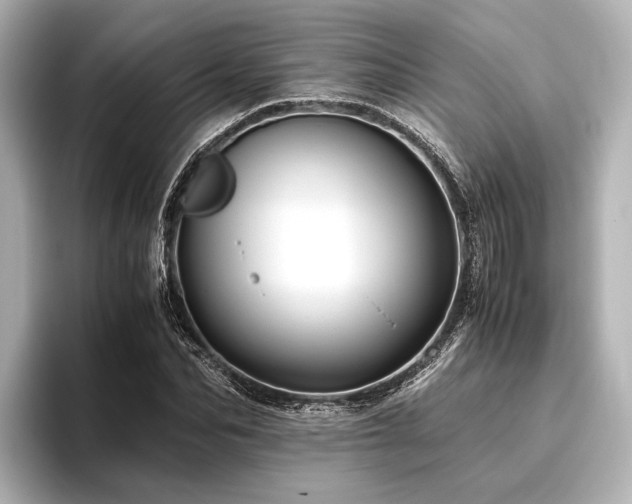 X0000096440974200801241355