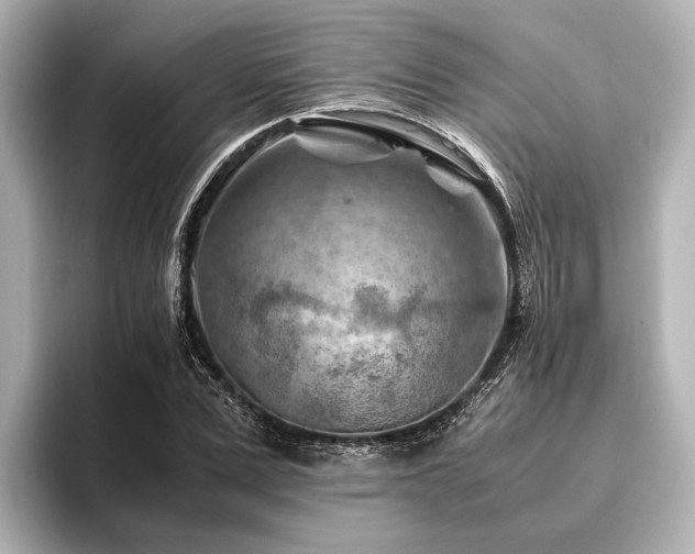 X0000096440975200801241355