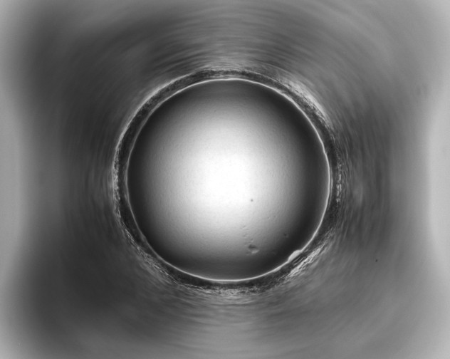 X0000096440976200801241355