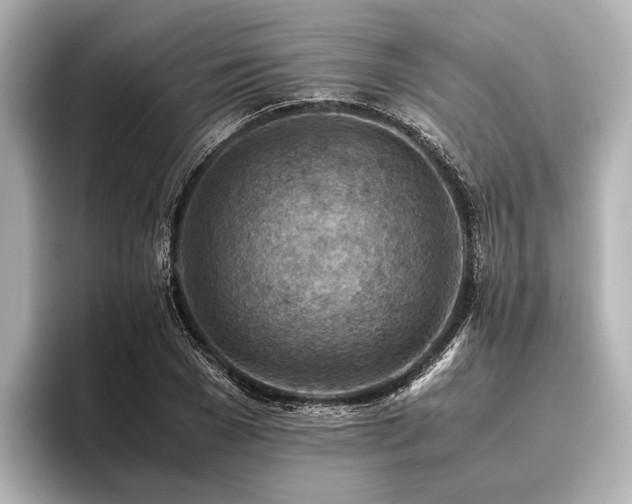 X0000096440977200801241355