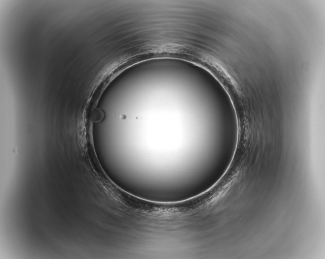 X0000096440978200801241355