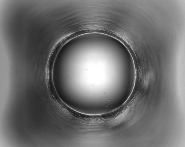 X0000096440979200801241355