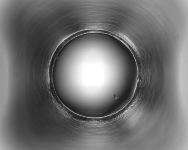 X0000096440980200801241355