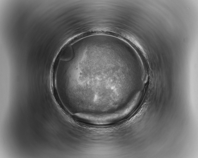 X0000096440984200801241355