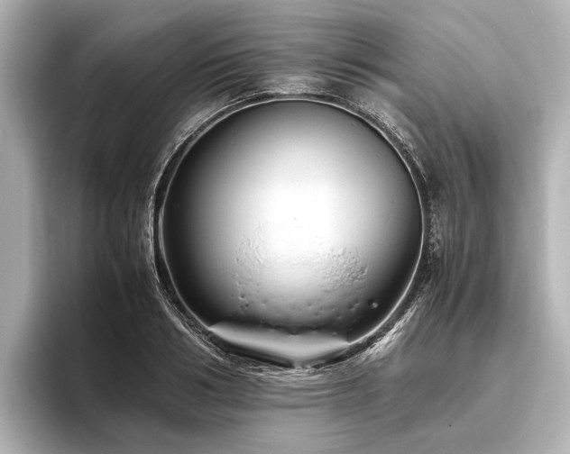 X0000096440986200801241355