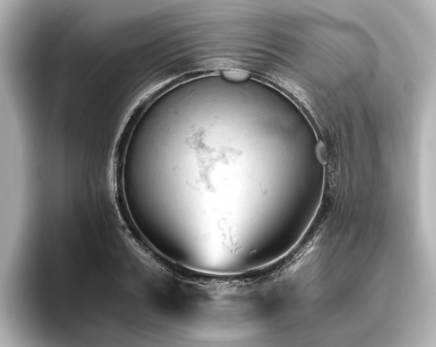 X0000096440987200801241355