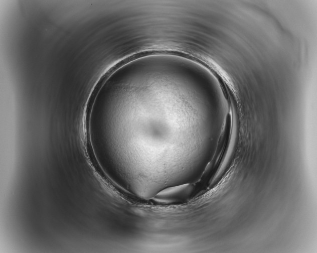 X0000096440988200801241355