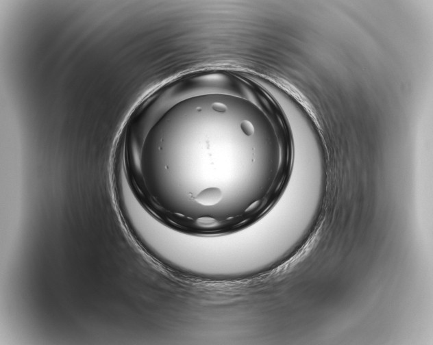 X0000096440989200801241355