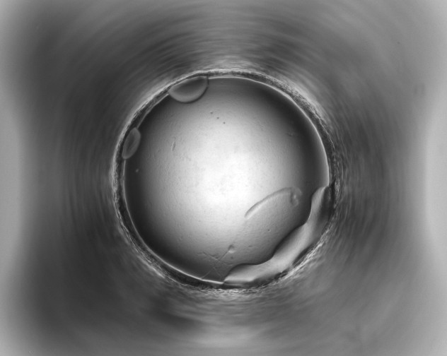 X0000096440990200801241355