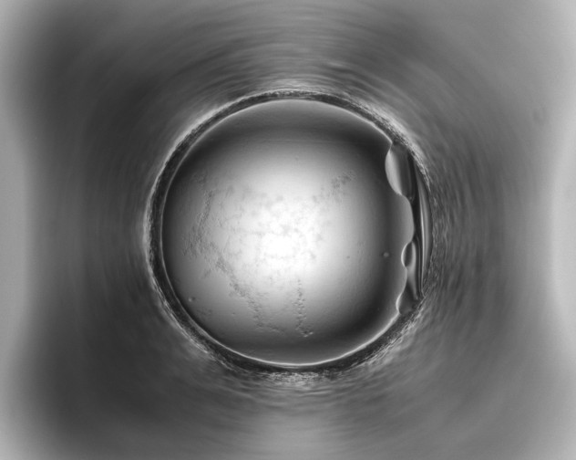X0000096440991200801241355