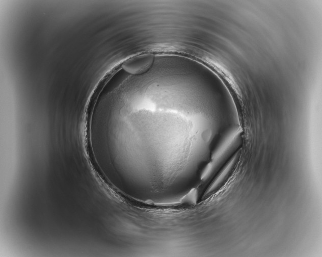 X0000096440992200801241355