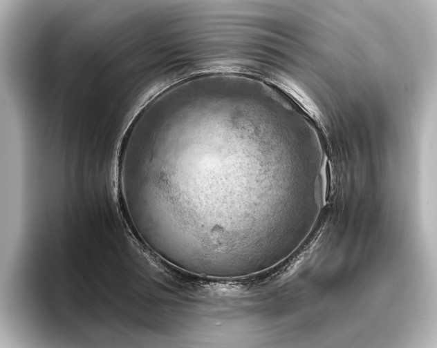 X0000096440994200801241355