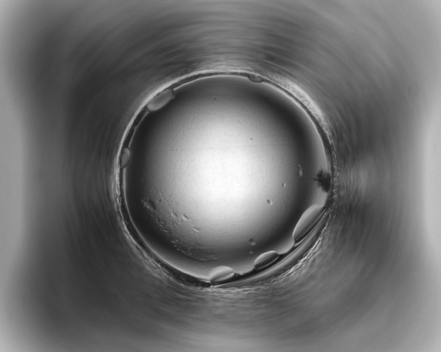 X0000096440996200801241355