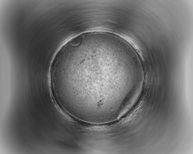 X0000096440998200801241355