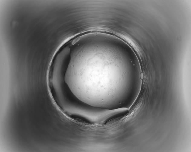 X0000096440999200801241355