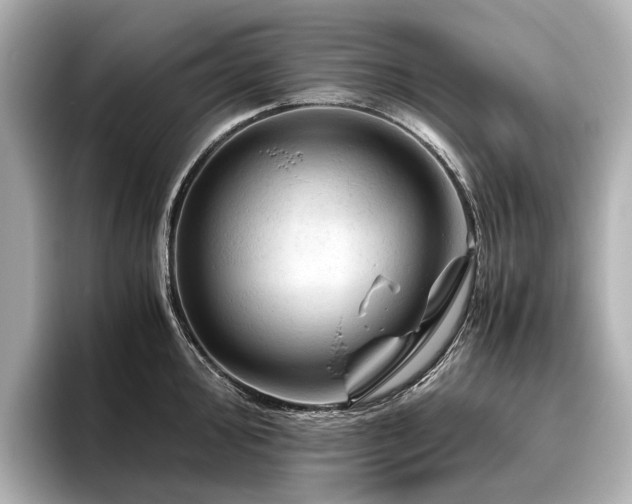 X0000096441000200801241355