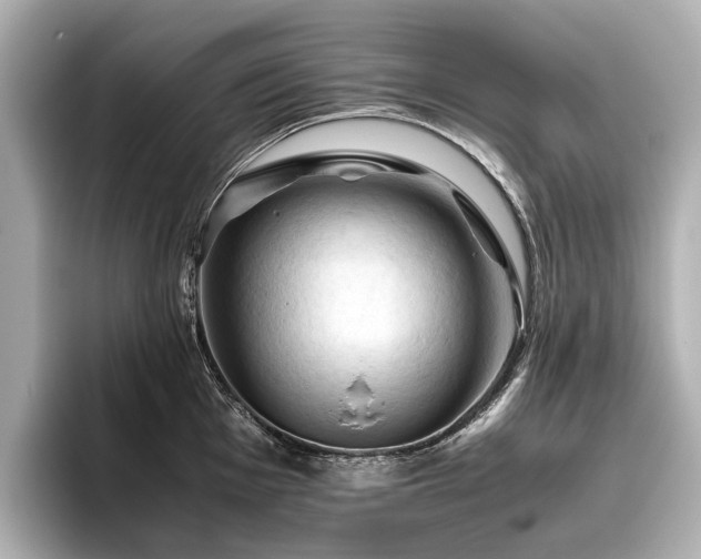 X0000096441001200801241355