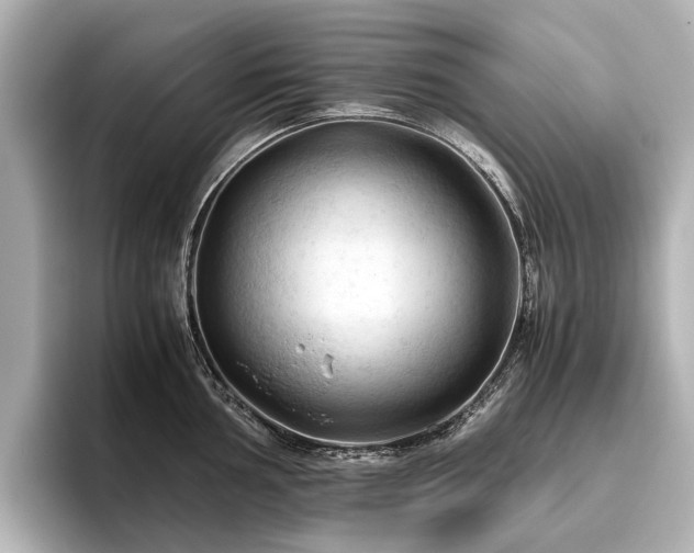 X0000096441002200801241355