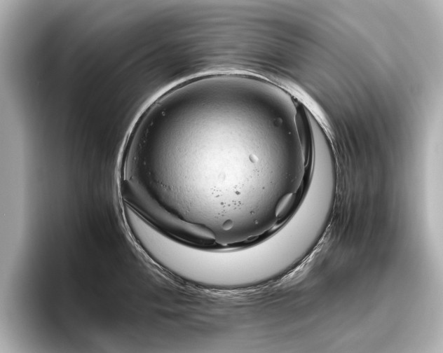 X0000096441004200801241355