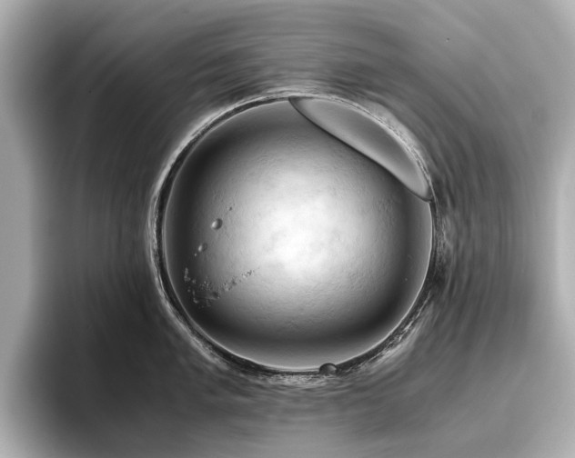 X0000096441005200801241355