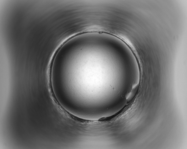 X0000096441008200801241355