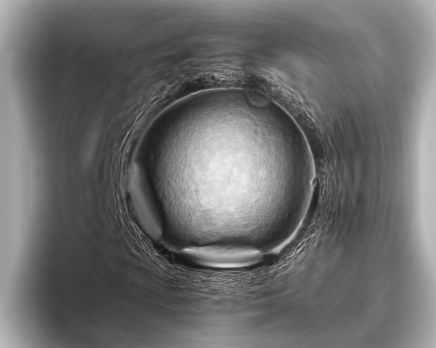 X0000096441009200801241354