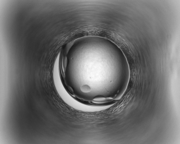 X0000096441010200801241354