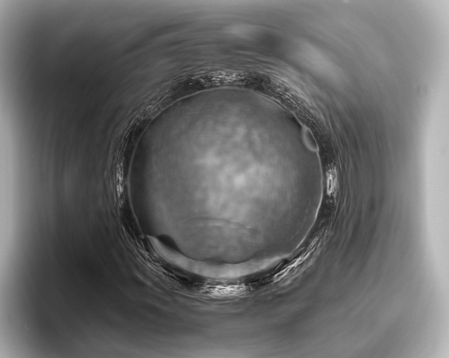 X0000096441011200801241354