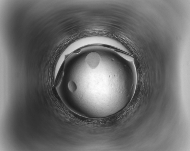 X0000096441014200801241354