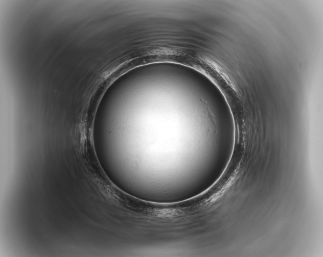 X0000096441017200801241354