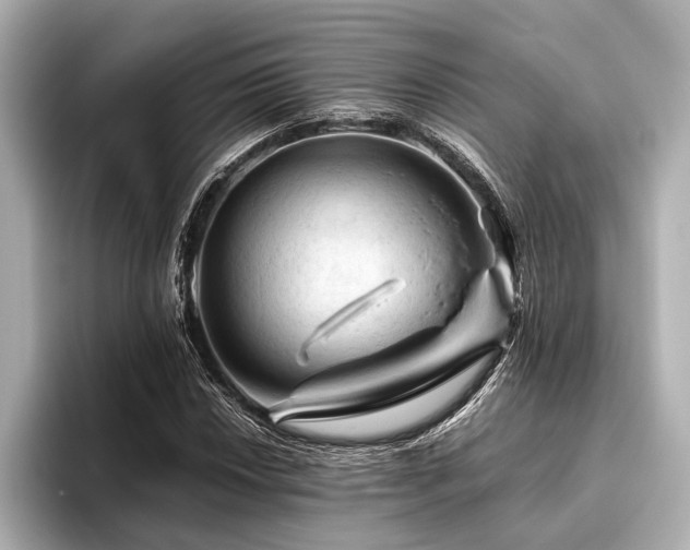 X0000096441018200801241354