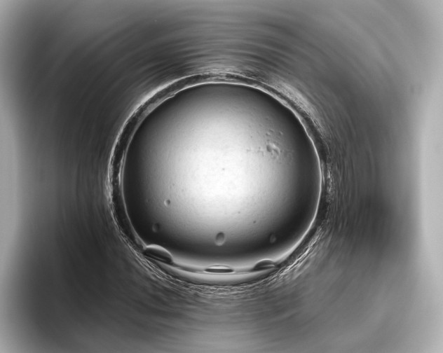 X0000096441020200801241354